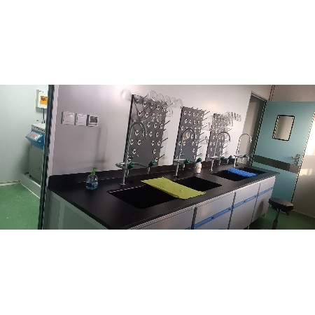 安徽東鵬實驗室新建項目(5)